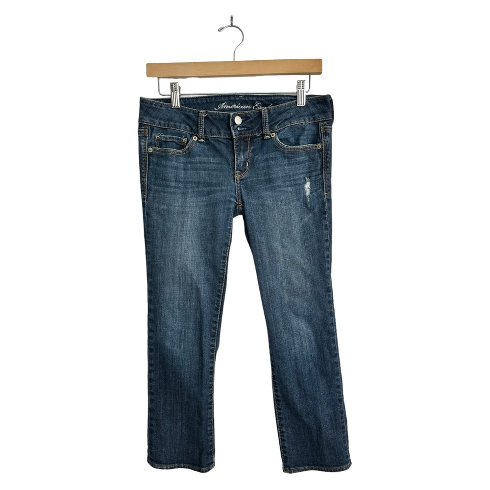 American Eagle Jeans Artist Stretch 2009  Jeans Low Rise Zip & 2 Button Size 4